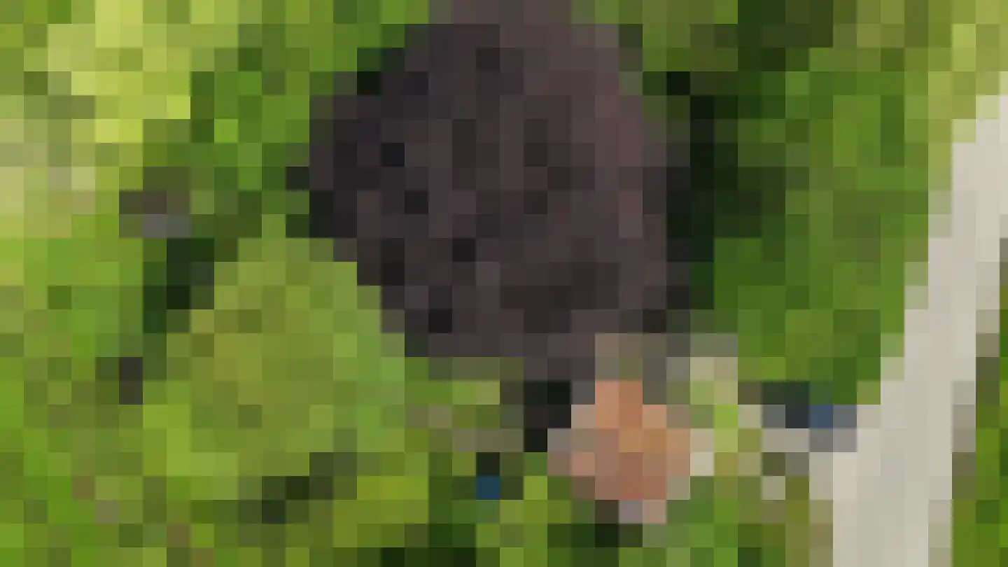 Lurpseweg 3 Kapelle thumbnail 94