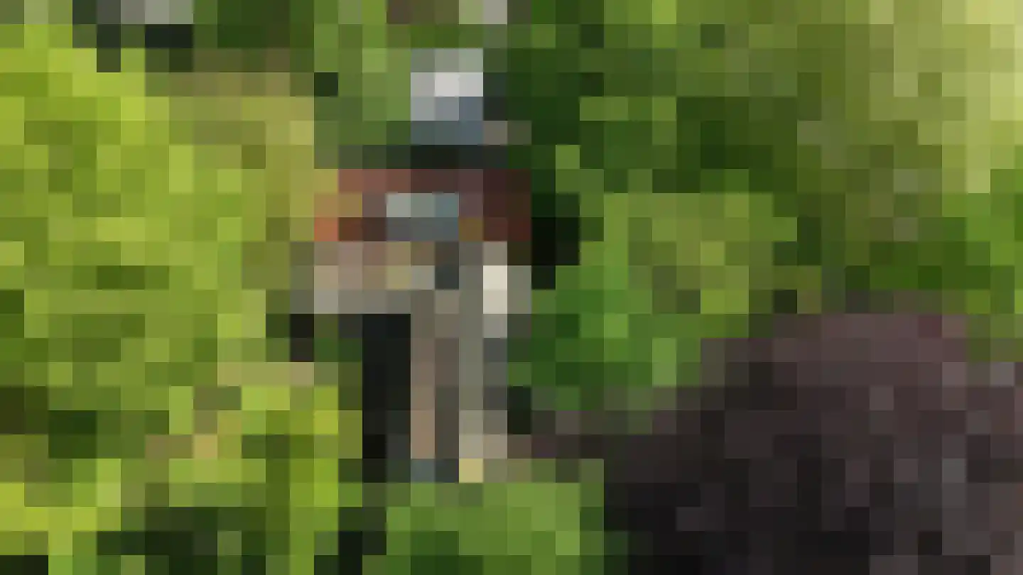 Lurpseweg 3 Kapelle thumbnail 96