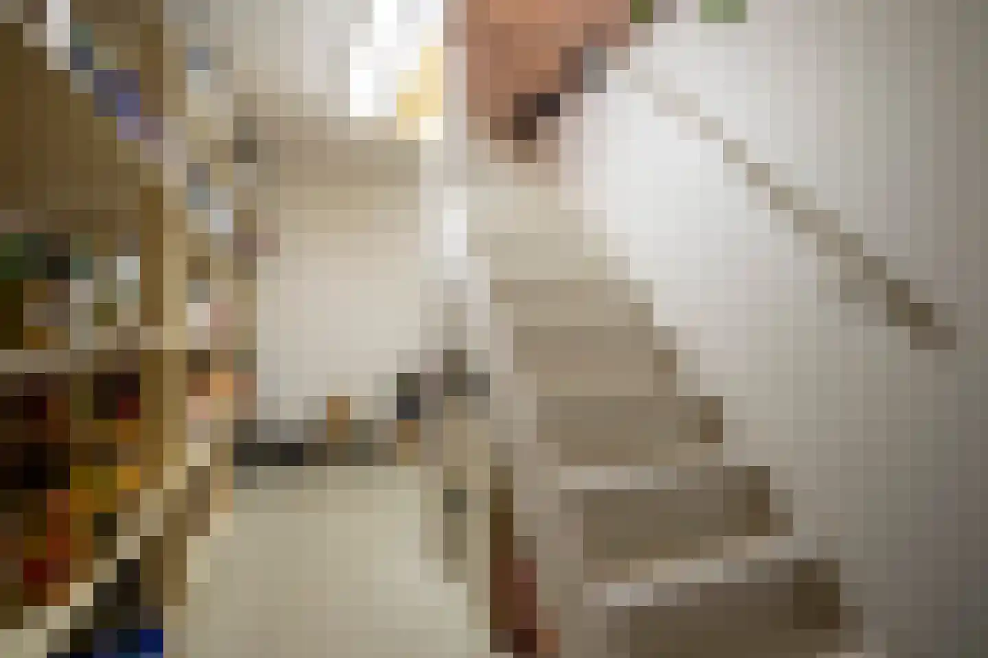 Lus 26 Genemuiden thumbnail 21