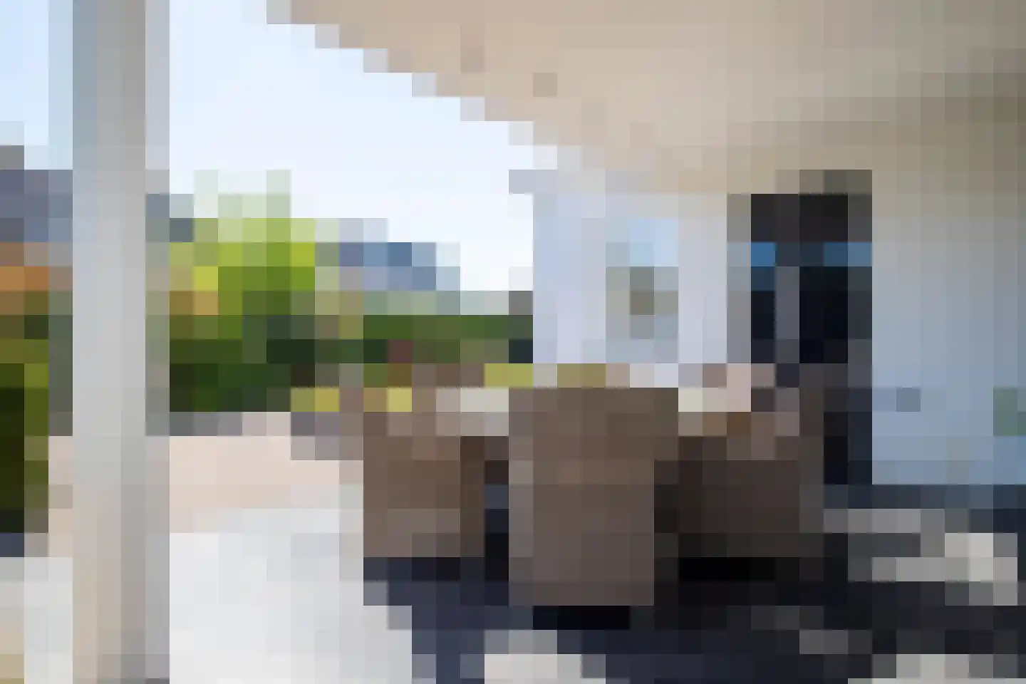 Lus 26 Genemuiden thumbnail 32