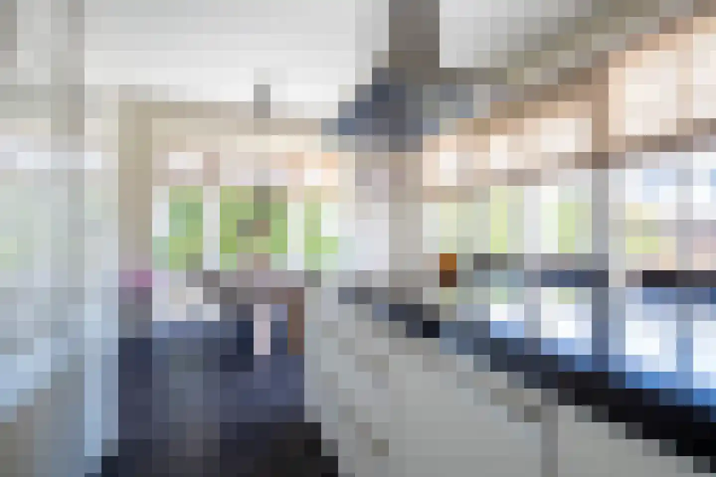 Lus 26 Genemuiden thumbnail 4