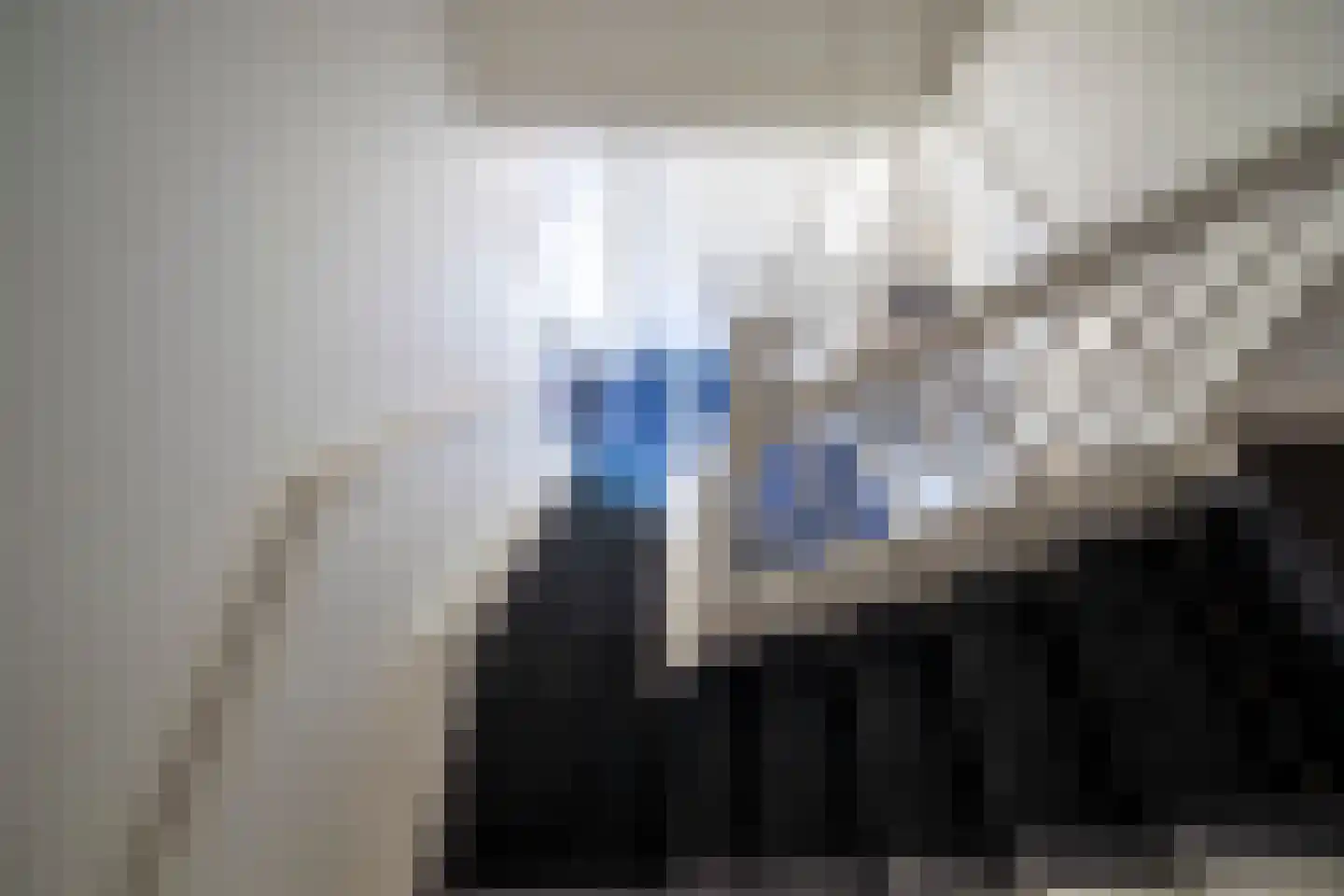 Lus 26 Genemuiden thumbnail 45