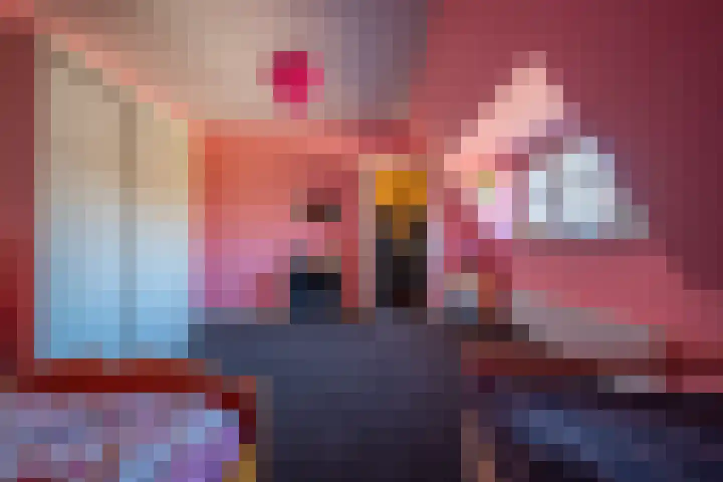 Lus 26 Genemuiden thumbnail 47