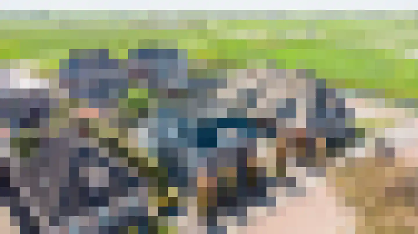 Lus 26 Genemuiden thumbnail 5