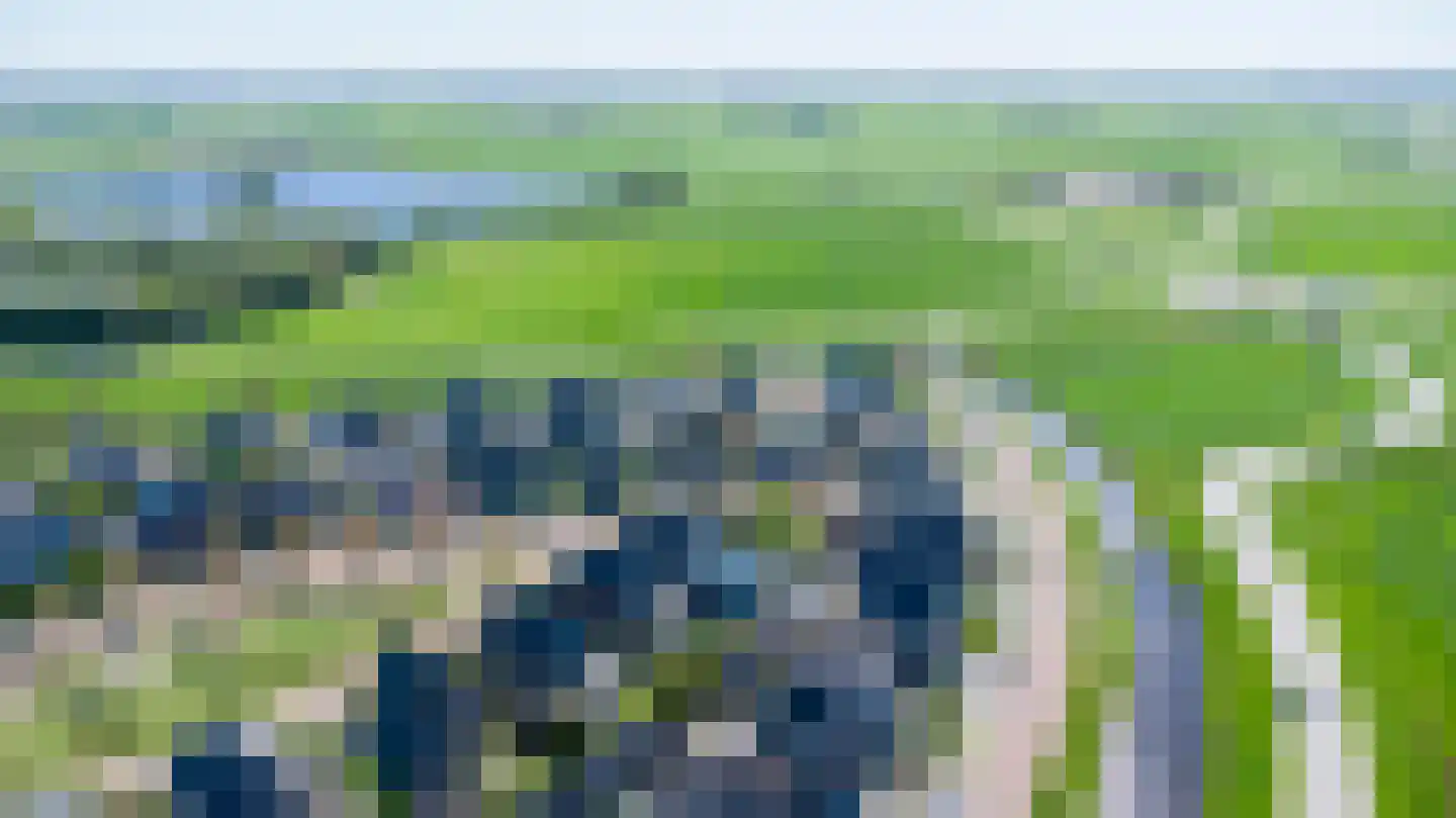 Lus 26 Genemuiden thumbnail 6