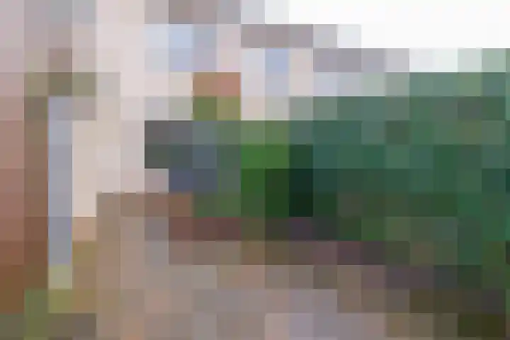 Lus 95 Genemuiden thumbnail 40