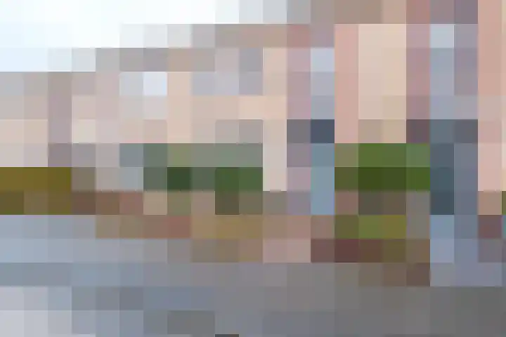 Lus 95 Genemuiden thumbnail 47
