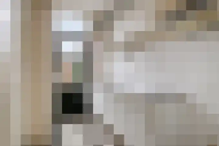 Lusthoflaan 1 A Leiden thumbnail 13
