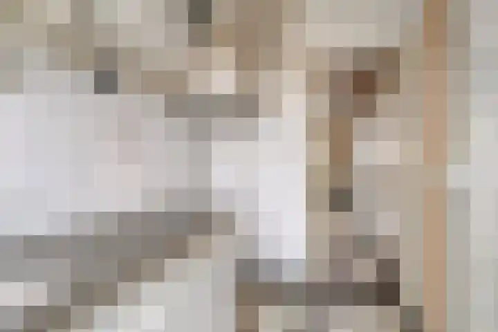 Lusthoflaan 1 A Leiden thumbnail 14