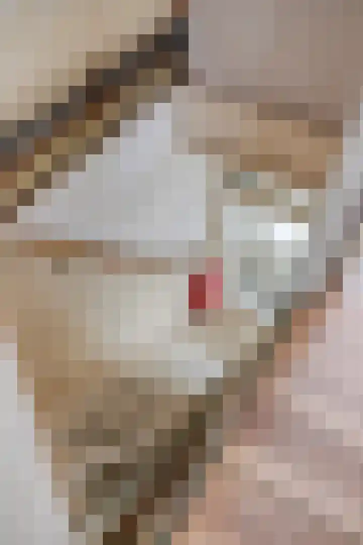 Lusthoflaan 1 A Leiden thumbnail 17