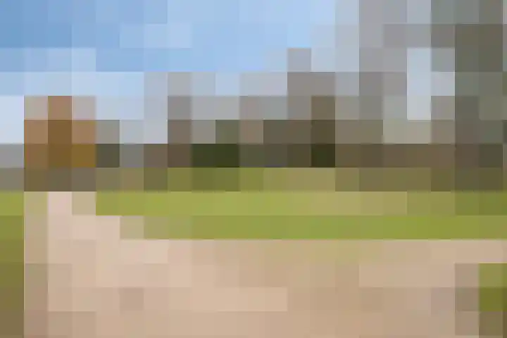 Lusthoflaan 1 A Leiden thumbnail 34