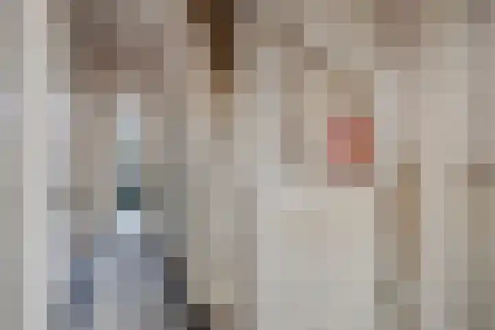 Lusthoflaan 1 A Leiden thumbnail 5
