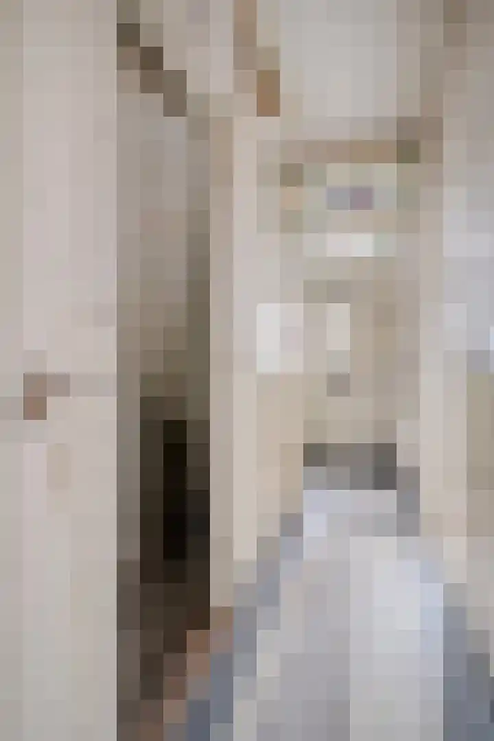 Lusthoflaan 1 A Leiden thumbnail 6