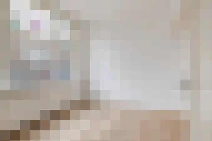 Lusthoflaan 1 A Leiden thumbnail 9