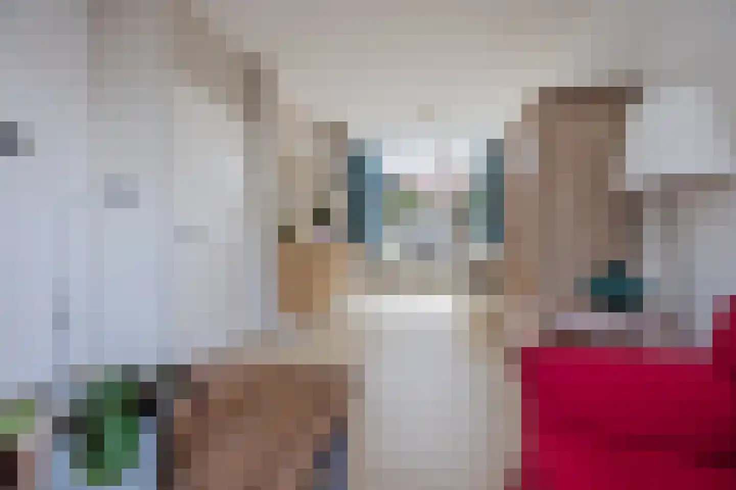 Lusthoflaan 11 Leiden thumbnail 10