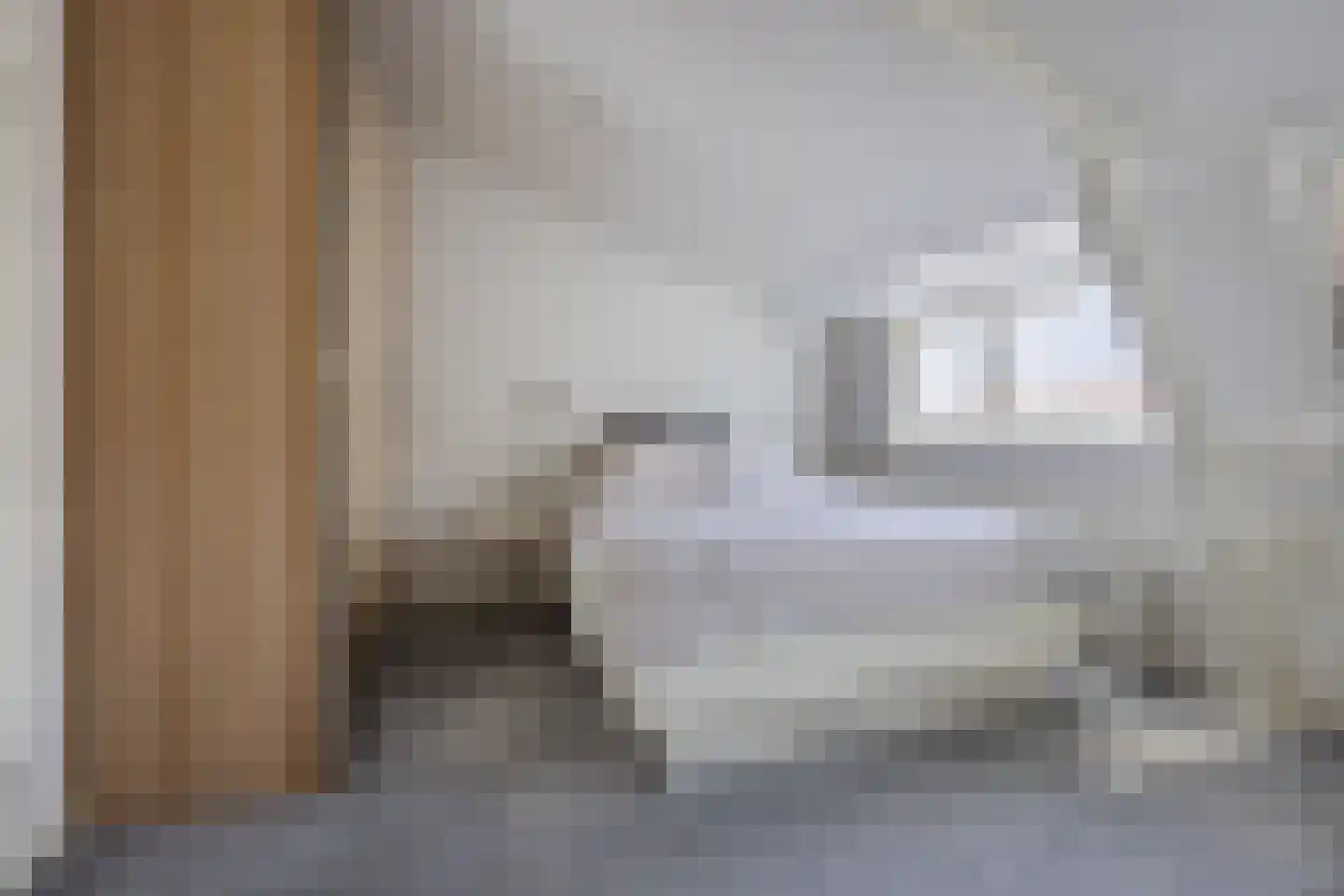 Lusthoflaan 11 Leiden thumbnail 22