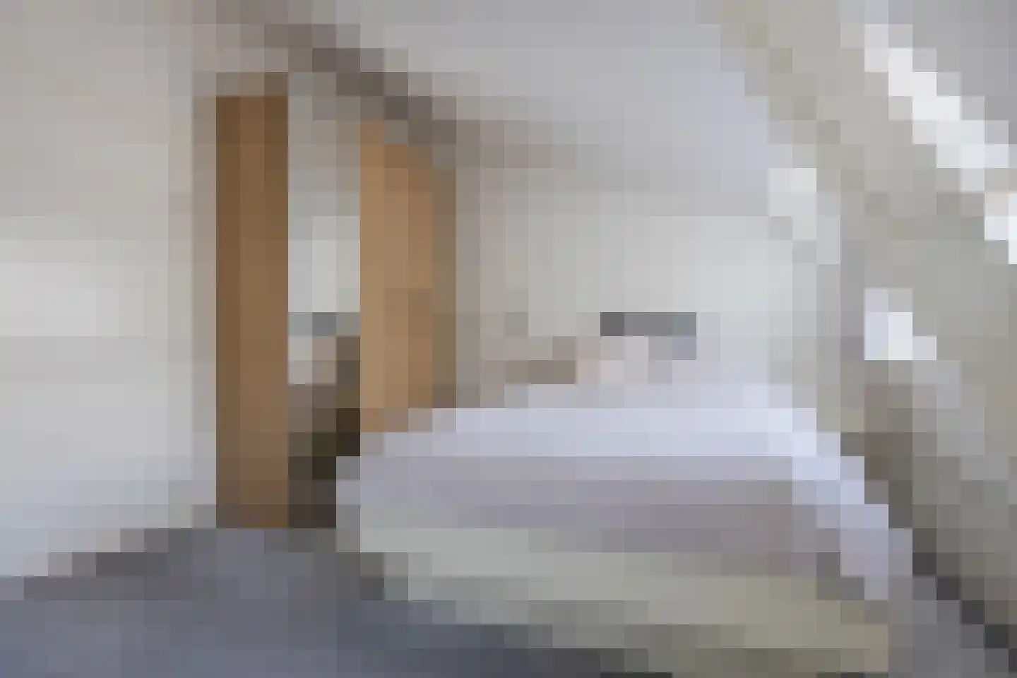 Lusthoflaan 11 Leiden thumbnail 23