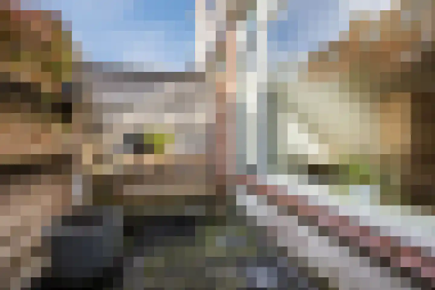 Lusthoflaan 11 Leiden thumbnail 33