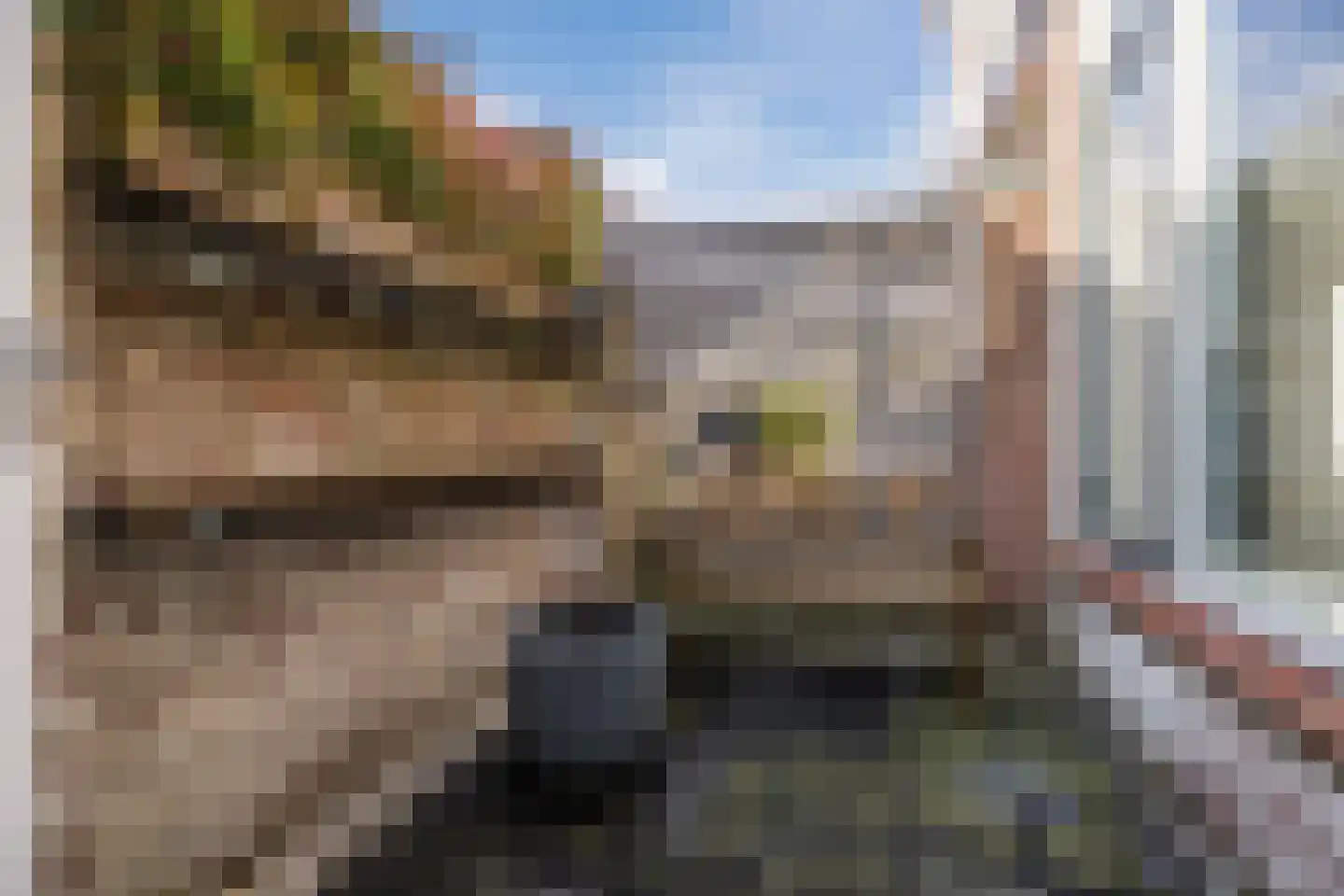 Lusthoflaan 11 Leiden thumbnail 34