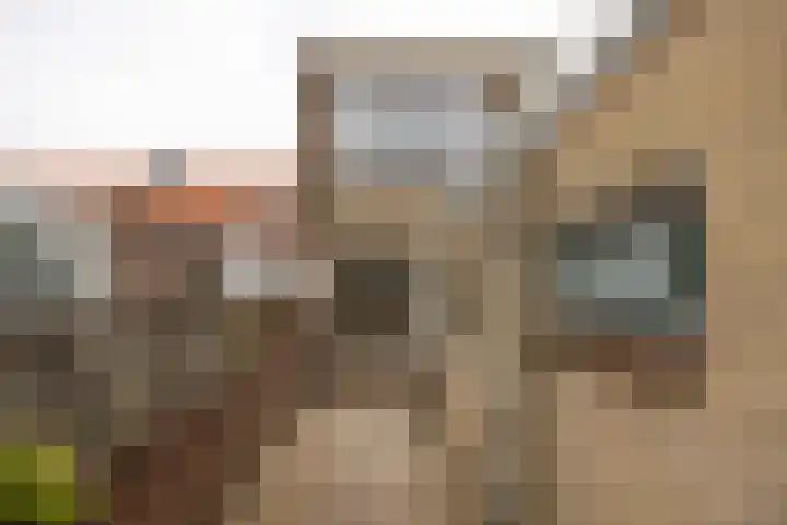 Lusthoflaan 45 Leiden thumbnail 18