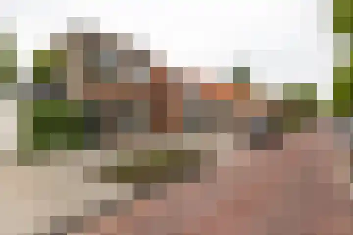 Lusthoflaan 45 Leiden thumbnail 19
