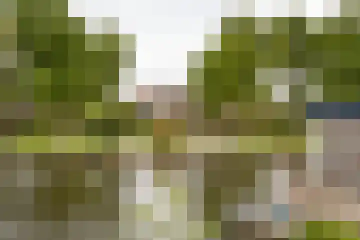 Lusthoflaan 45 Leiden thumbnail 22