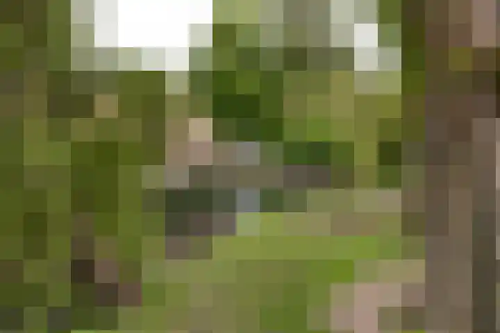 Lusthoflaan 45 Leiden thumbnail 23