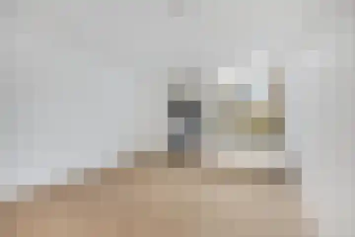 Lusthoflaan 45 Leiden thumbnail 5