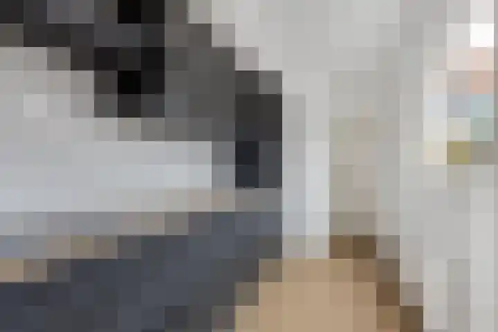 Lusthoflaan 45 Leiden thumbnail 6