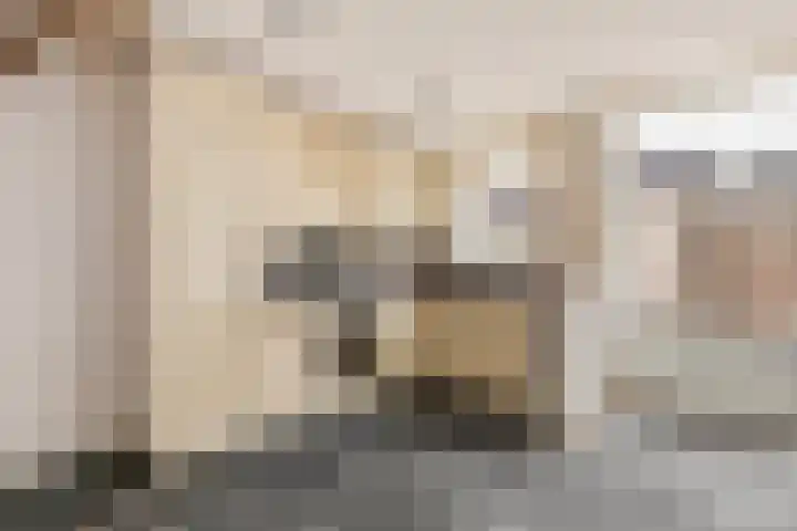 Lusthoflaan 7 Leiden thumbnail 16