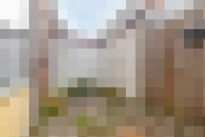 Lusthoflaan 7 Leiden thumbnail 20