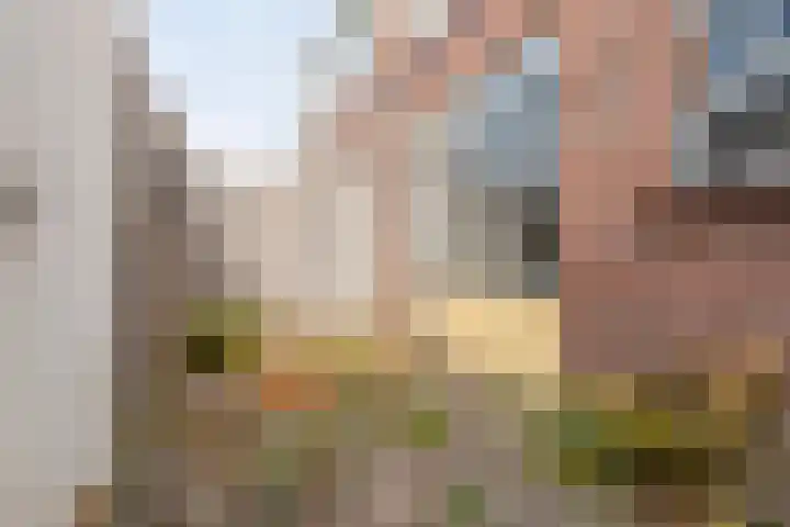 Lusthoflaan 7 Leiden thumbnail 21