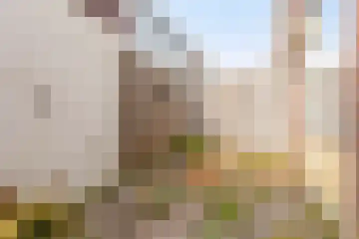 Lusthoflaan 7 Leiden thumbnail 22