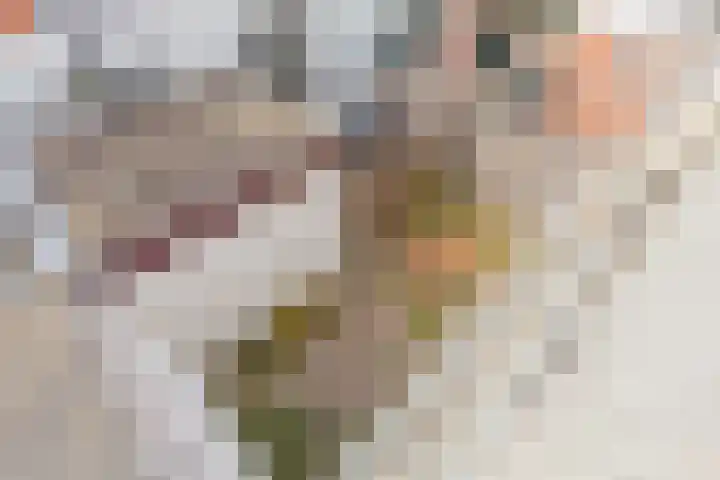 Lusthoflaan 7 Leiden thumbnail 34
