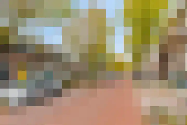 Lusthoflaan 7 Leiden thumbnail 37