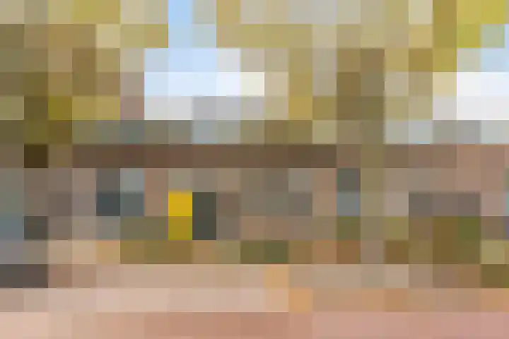 Lusthoflaan 7 Leiden thumbnail 5