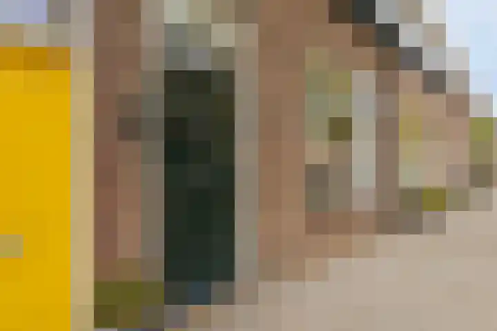 Lusthoflaan 7 Leiden thumbnail 8