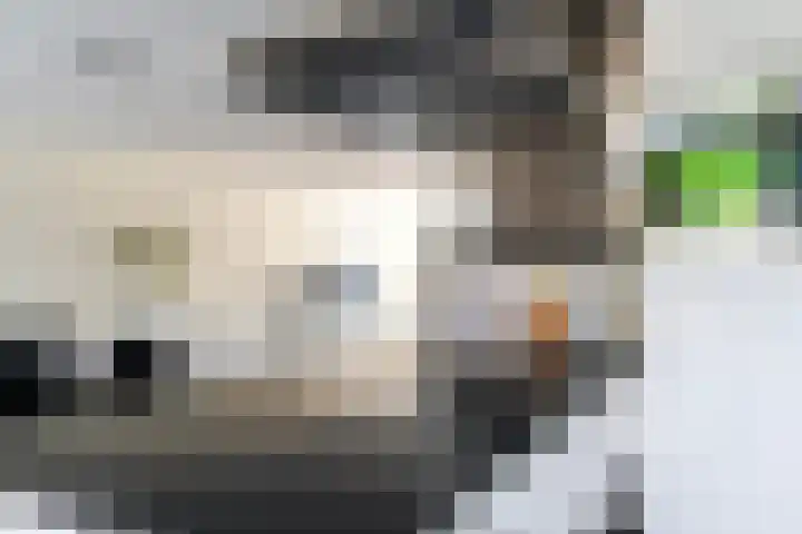 Lusthofstraat 18 Voorburg thumbnail 16