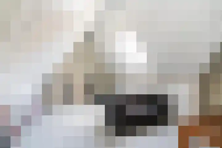 Lusthofstraat 18 Voorburg thumbnail 31