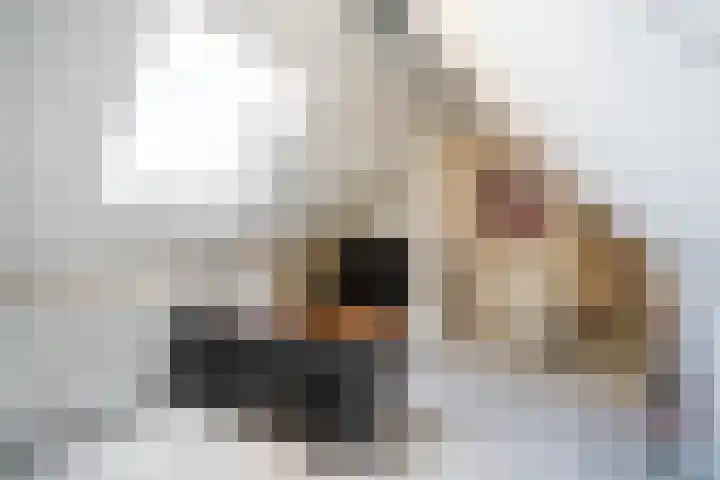 Lusthofstraat 18 Voorburg thumbnail 32