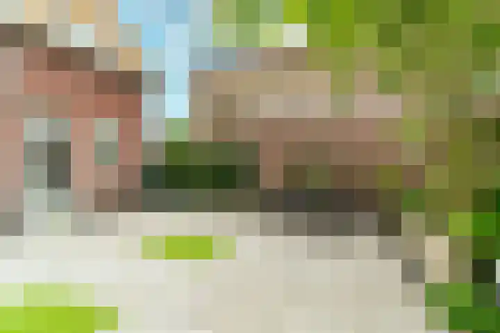 Lusthofstraat 18 Voorburg thumbnail 43