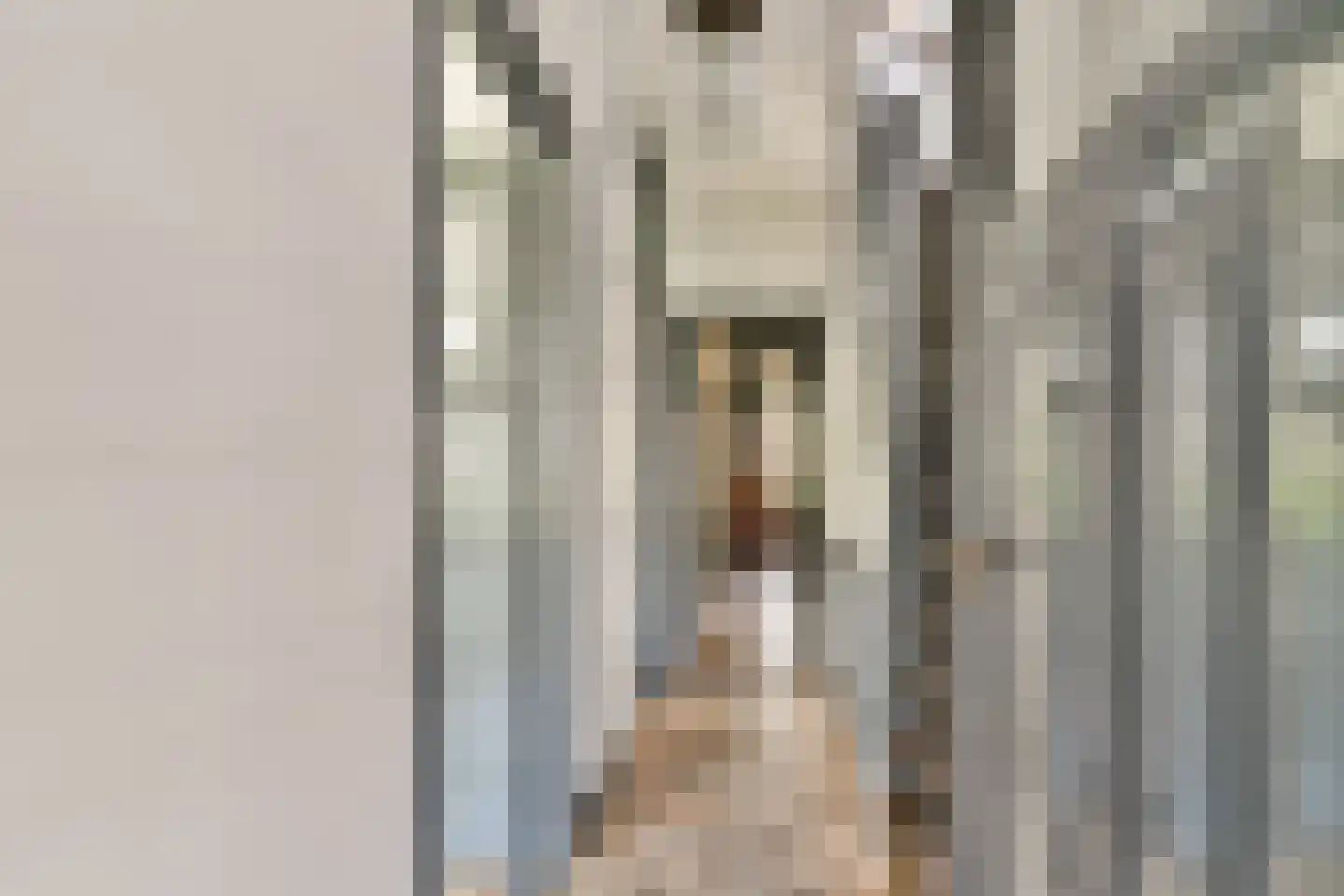 Lusthofstraat 29 A Rotterdam thumbnail 7