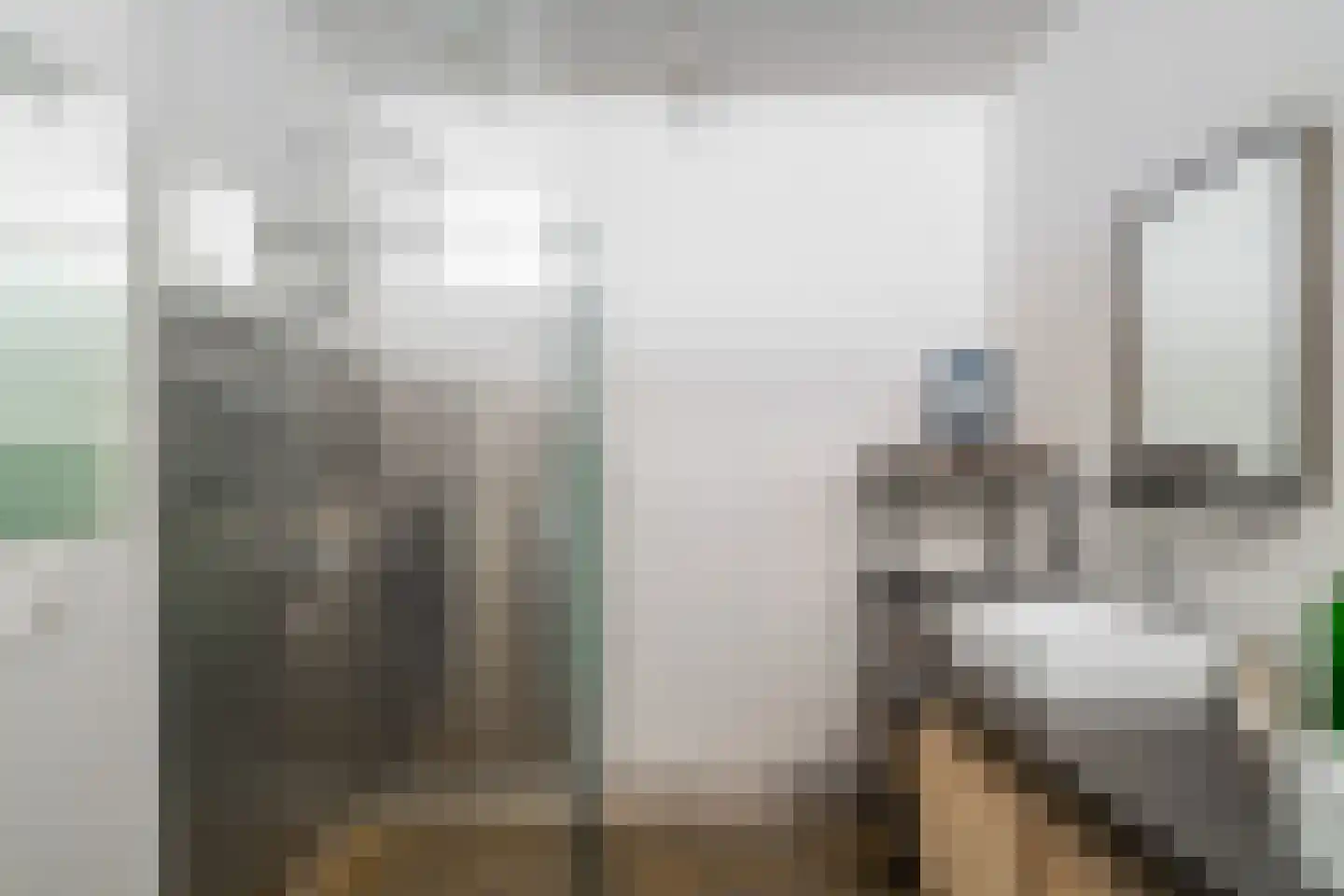 Lusthofstraat 52 B 02 Rotterdam thumbnail 16