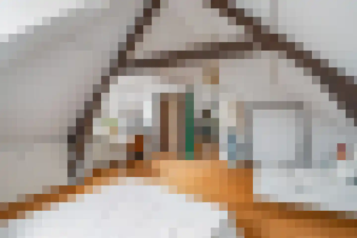 Lusthofstraat 52 B 02 Rotterdam thumbnail 24