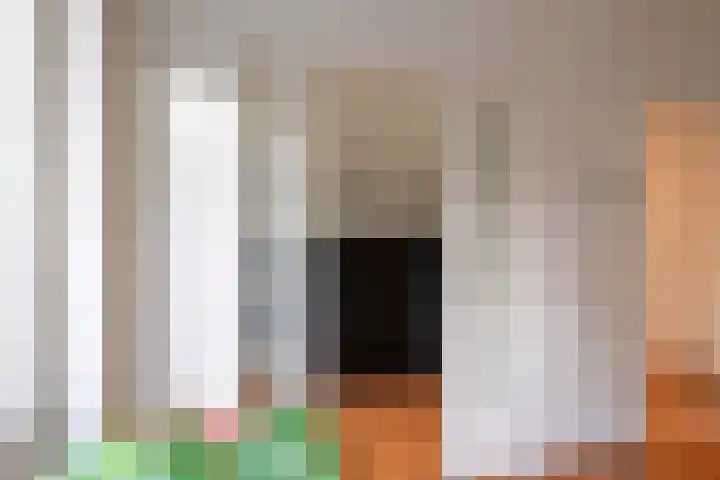 Lusthofstraat 7 B Rotterdam thumbnail 10