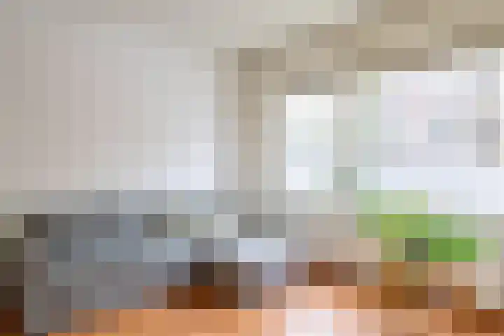 Lusthofstraat 7 B Rotterdam thumbnail 8