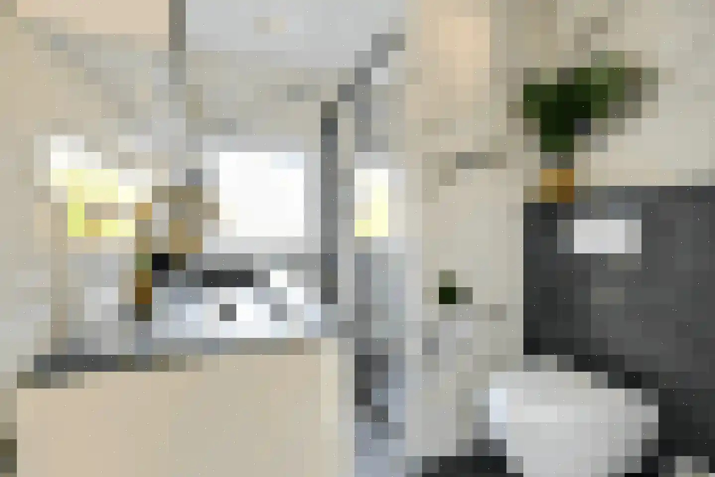 Luteijnstraat 9 Arnemuiden thumbnail 8