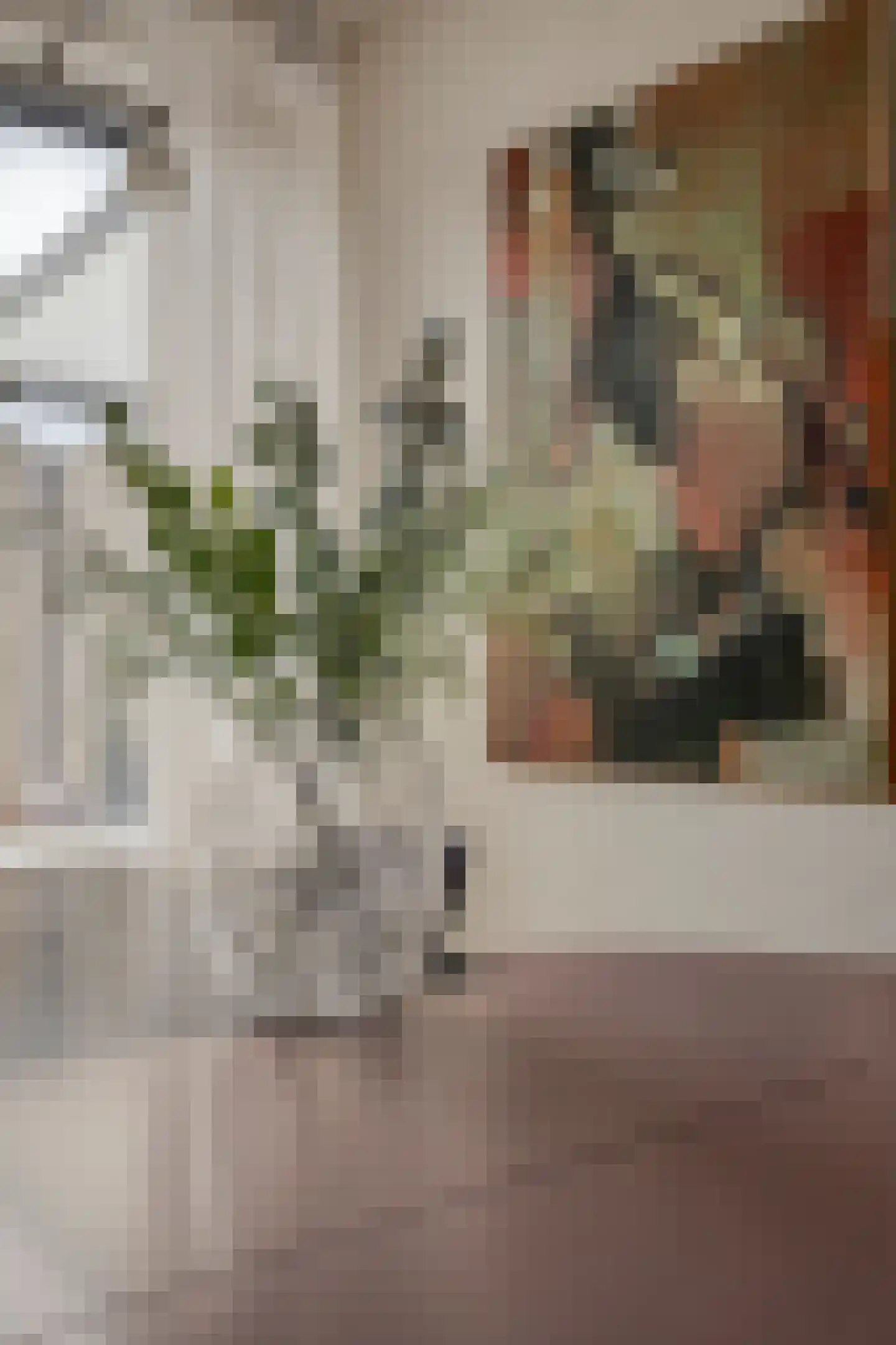 Lutetiahof 39 Maastricht thumbnail 11