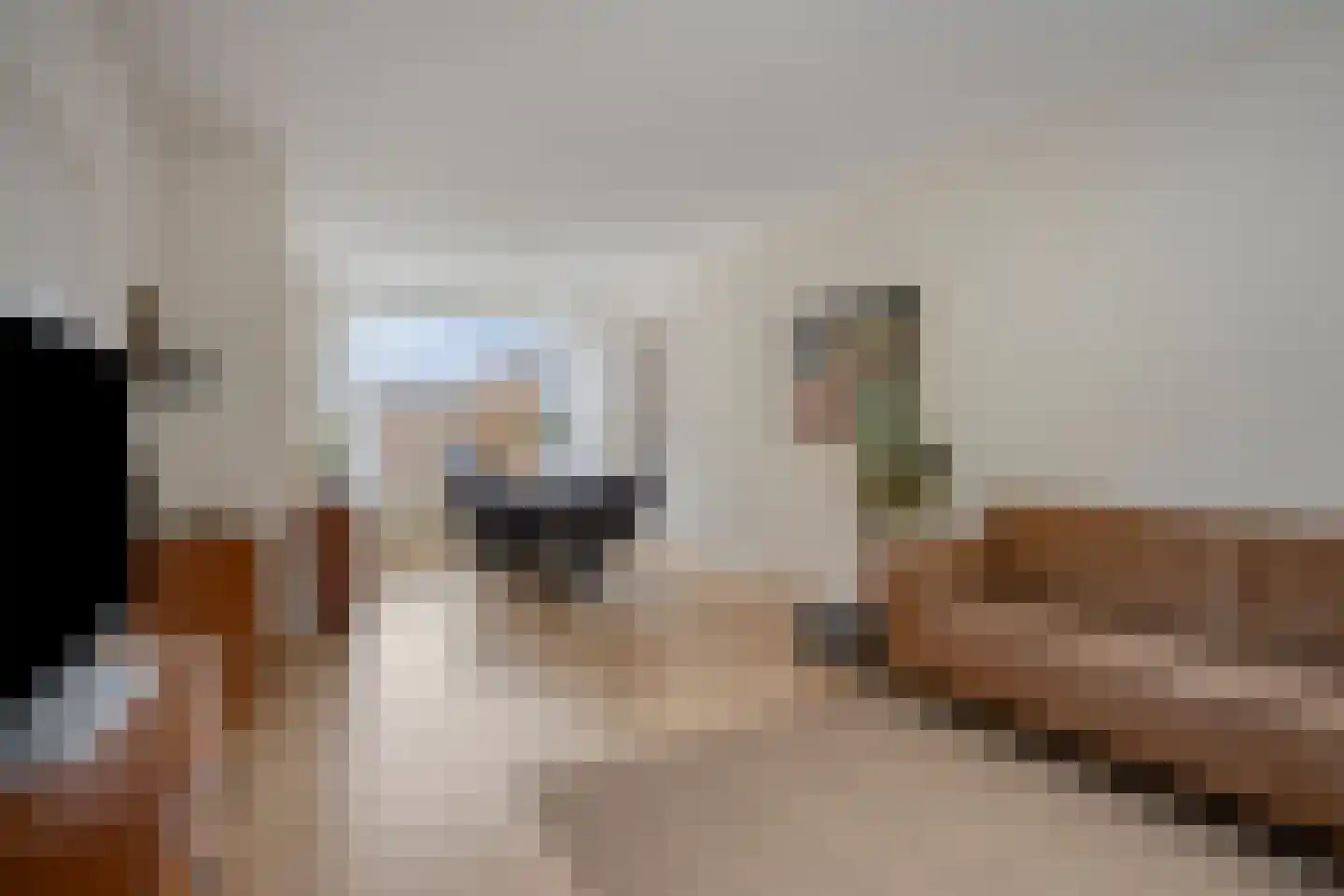 Lutetiahof 39 Maastricht thumbnail 7