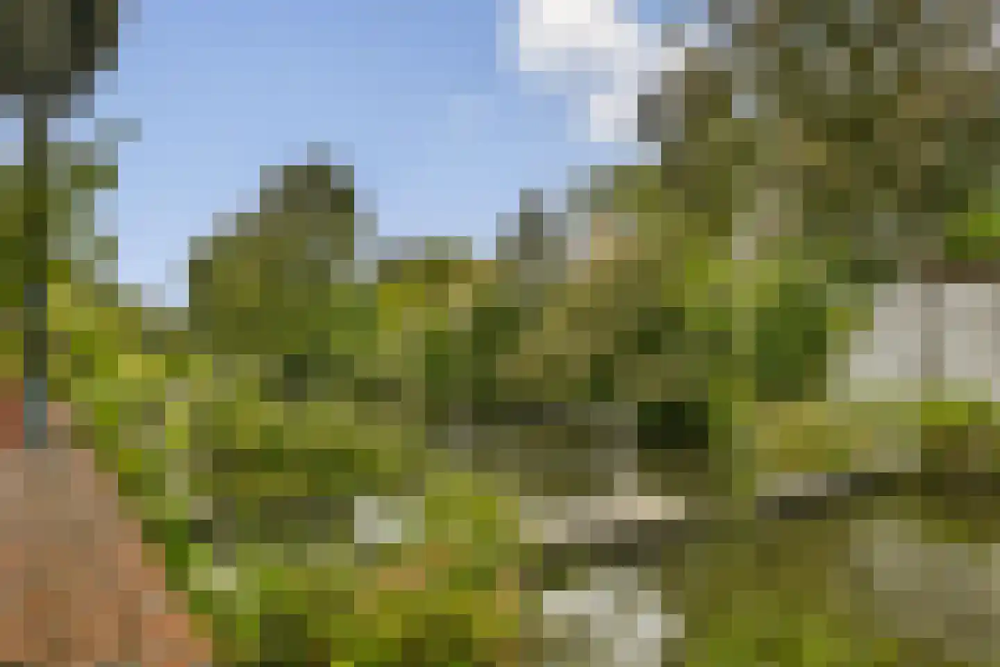 Lutgerslaan 18 Loenen aan de Vecht thumbnail 25
